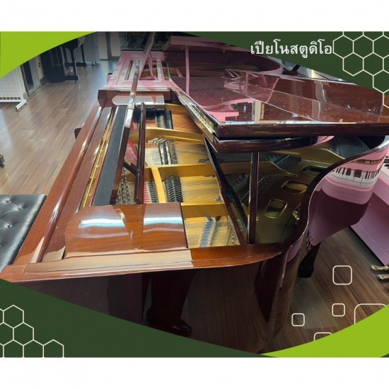 รับสอนดนตรีดอนเมือง - เปียโน สตูดิโอ - ช่างรับซ่อมเปียโน 
